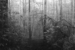 FinalLandscape1-scaled