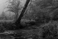 FinalLandscape2-scaled