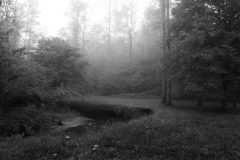FinalLandscape3-scaled