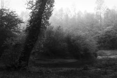 FinalLandscape4-scaled
